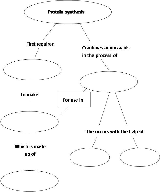 Concept Map Question